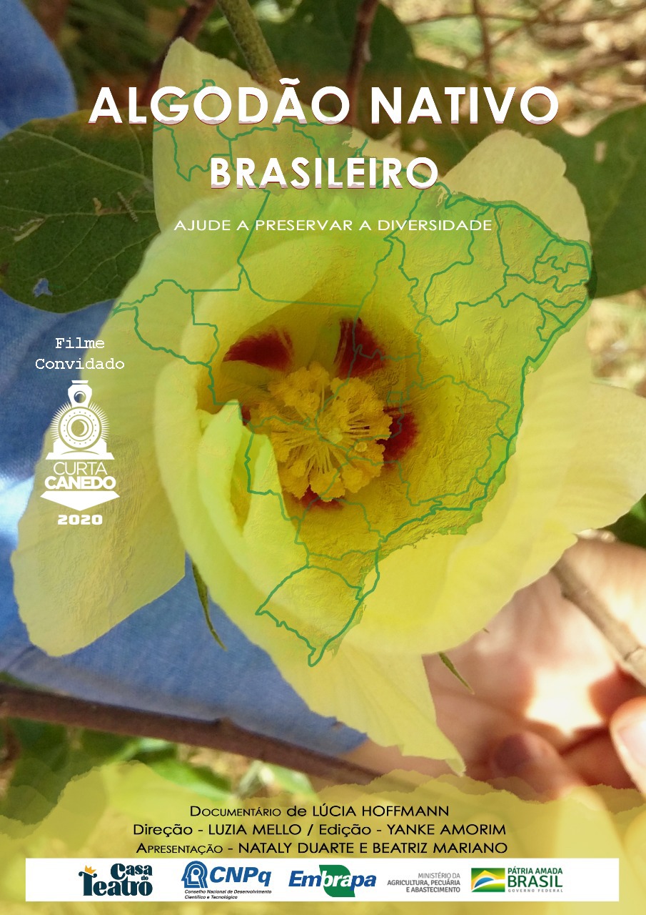Algodão Nativo Brasileiro – Luiza Mello e Lúcia Hoffmann